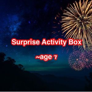 Mystery box -Surprise Activity/Toy Bundle